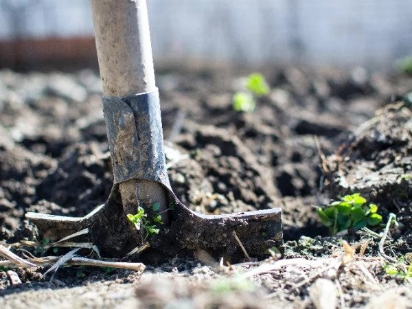How Pre-Employment Testing Weeds Out Unsuitable Applicants